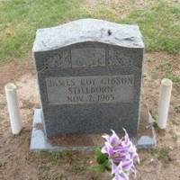 James Roy GIBSON